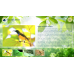 Biodiversity Discovery Kiosk Manager